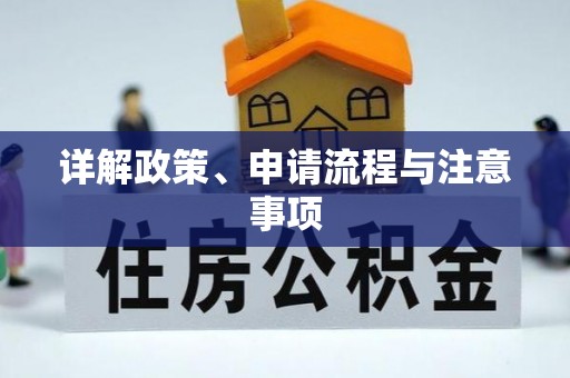 新城详解政策、申请流程与注意事项
