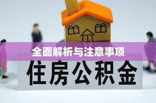 新城全面解析与注意事项