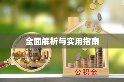 新城全面解析与实用指南