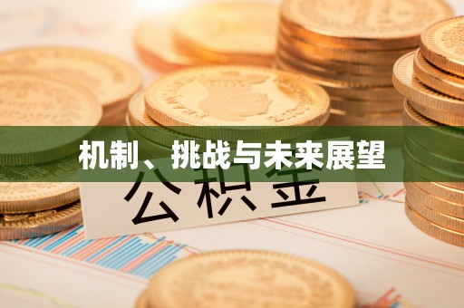 新城机制、挑战与未来展望