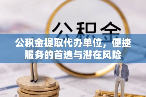 新城公积金提取代办单位，便捷服务的首选与潜在风险