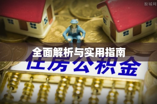 新城全面解析与实用指南