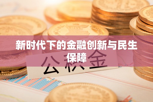 新城新时代下的金融创新与民生保障