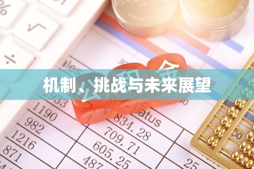 新城机制、挑战与未来展望